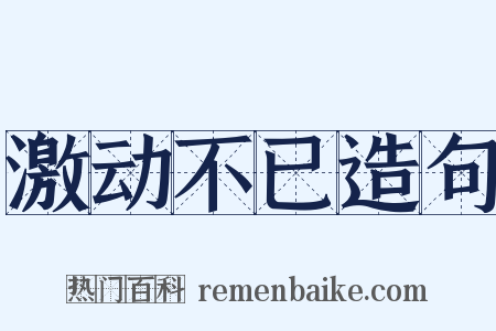 激动不已造句是什么意思的图片